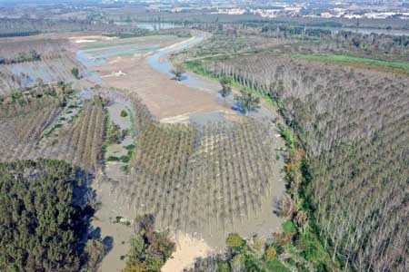 Obiettivo rinaturazione