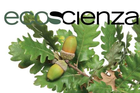 Ecoscienza 3/2026