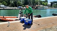 Balneazione, ripartono i monitoraggi in Emilia-Romagna