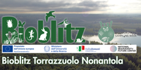 Bioblitz a Nonantola, una caccia al tesoro della biodiversità