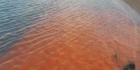 Colorazione arancione nelle acque marino costiere a Cesenatico