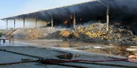 Incendio in un’azienda a Mordano (BO)
