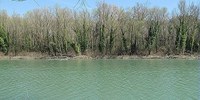 Monitoraggio delle acque in Provincia di Forlì-Cesena