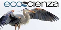 Obiettivo rinaturazione. Online Ecoscienza 1/2025