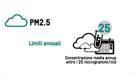 PM 2,5 infografica