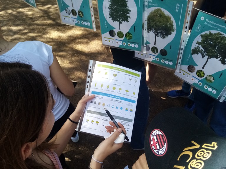 caratteristiche albero.jpg