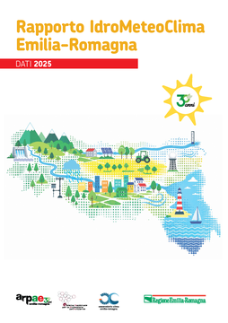 Report IMC 2026, dati 2025_copertina.png